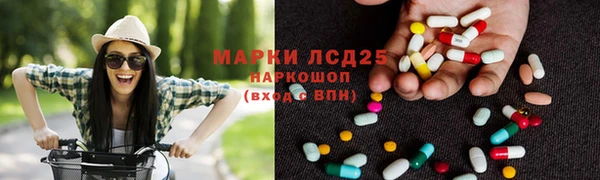 стаф Баксан