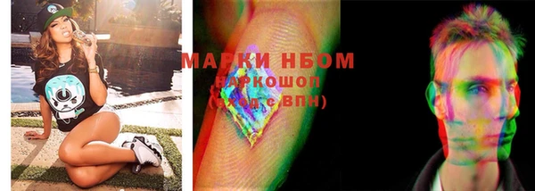 PSILOCYBIN Сосновый Бор