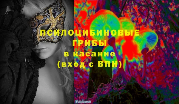 стаф Баксан