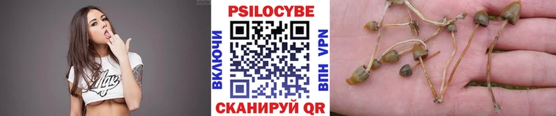 Псилоцибиновые грибы Psilocybe  Североуральск 